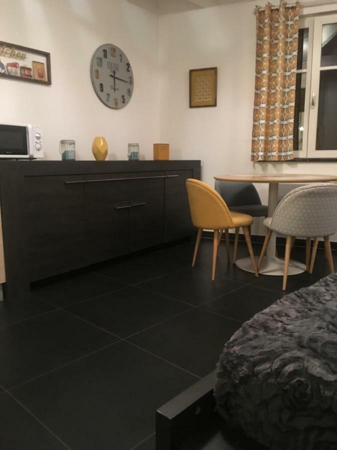 Les Appartements Berthe Molly Colmar Bagian luar foto