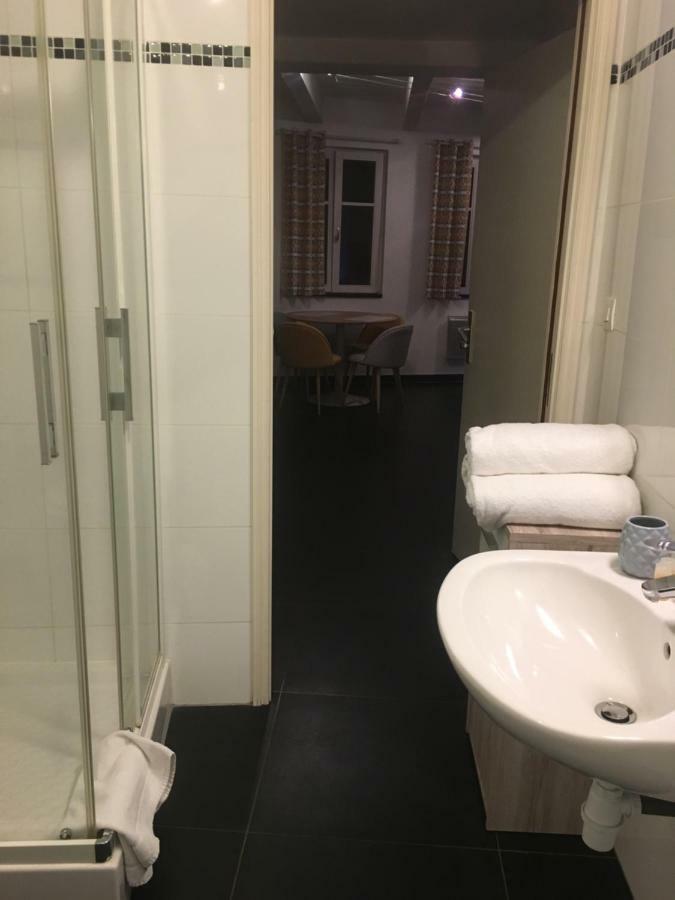 Les Appartements Berthe Molly Colmar Bagian luar foto